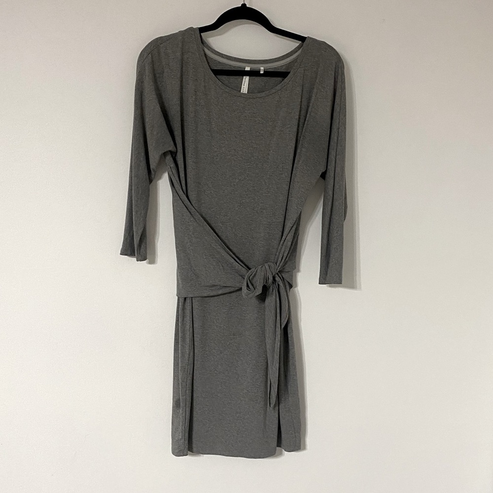 Babaton Grey Dress